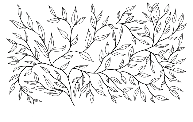 Xblog landing picture